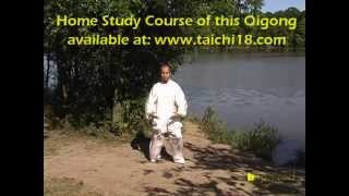 Tai Chi Qigong Shibashi  Set 2 [upl. by Monika]