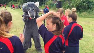 Wolfie Does Shake It Off at Colmers School [upl. by Assenej]