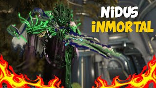 BUILD NIDUS PRIME  INMORTAL  WARFRAME [upl. by Trstram690]