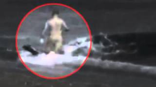 Killer Whale Attacks Man On Beach  WARNING Graphic [upl. by Map]