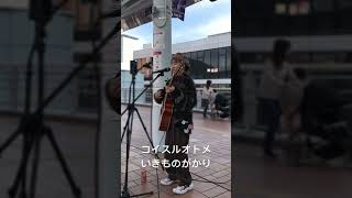 コイスルオトメ いきものがかり 路上ライブ streetlive ストリートライブ シンガーソングライター シンガーソングライターkee 歌ってみた shorts [upl. by Noitsuj245]