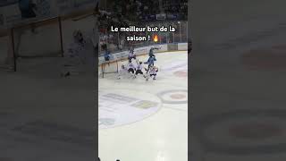 Quel jeu d’équipe  😍 hockey marseille nhl spartiatesdemarseille [upl. by Barnes]