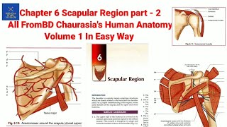 Chapter 6 Scapular Region part2 By BD Chaurasias Human Anatomy volume 1 [upl. by Ennaitsirhc438]