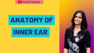 Anatomy of Inner Ear [upl. by Ramaj]