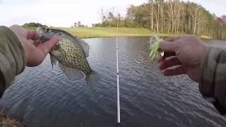 MICRO CHATTERBAIT CRAPPIE [upl. by Leidag]