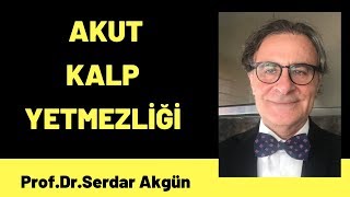 Akut kalp yetmezliği nedenleri Tıp Dersleri [upl. by Mcmath467]