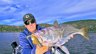 Flicking lures around Pittwater and the Hawkesbury river [upl. by Alroy]