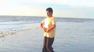 Zhi Neng Qi gong 1 Video 3 [upl. by Ailasor]