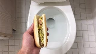 Will it Flush Hot Dog [upl. by Roseline]