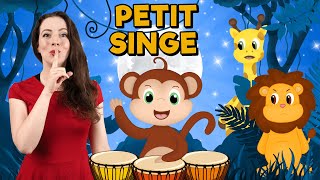 Petit Singe  Comptine pour enfant [upl. by Elboa522]