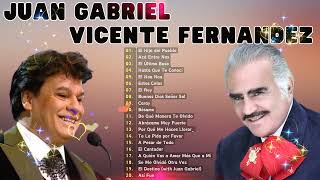 La mejor forma de celebrar la vida  Juan Gabriel y Vicente Fernández [upl. by Lemmy]