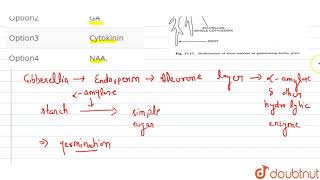 alphaamylase synthesis is promoted by [upl. by Alakim]