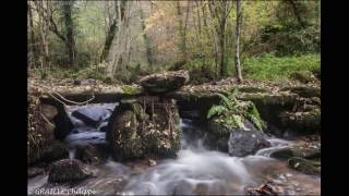 La Rochette  Donzenac Corrèze France  Novembre 2016 [upl. by Domineca]