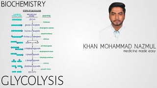 GLYCOLYSIS  BIOCHEMISTRY  বাংলা  Bangla [upl. by Noyr]