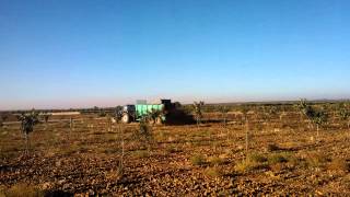 Abonado con estiercol de Plantacion de Pistachos Joven en Castilla la Mancha [upl. by Alister131]