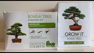 Grow It and Garden Coliseum Bonsai Grow Kits plus Instructions [upl. by Dare]