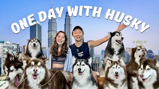 INTERESTING Husky Cafe Experience in Kuala Lumpur Malaysia 🇲🇾 [upl. by Jae]