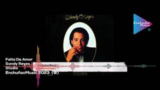 Sandy Reyes StudioFalta De Amor [upl. by Indyc]