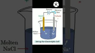 CATHODE and ANODE class 10 electrolytic cell chemistry chemistry [upl. by Yreva]