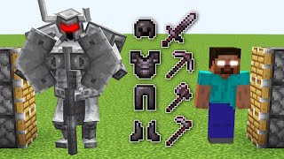 x40 ferrous wroughtnaut  HEROBRINE and x300 netherite armor combined [upl. by Hamehseer]