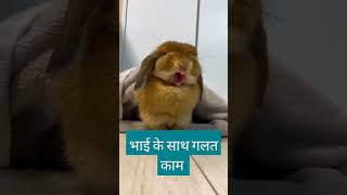 Line kat dijiye sir please 😂😂😂 funny short roockybhai comedy video [upl. by Meihar61]