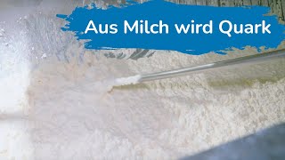 Aus Milch wird Quark – zu Besuch in der Molkerei [upl. by Hendricks]