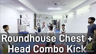 Taekwondo Roundhouse Chest  Head Combo Kicks Drill [upl. by Melony620]