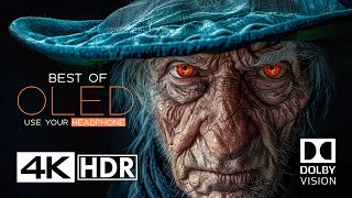 The Craziest OLED Test in 4K HDR 60FPS  Dolby Vision [upl. by Pisarik]