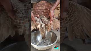 Partridge birds Recipe  Teetar birds Curry  Teetar Racipe  Titar Racipe  Village Recipe guy [upl. by Phira]