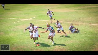 Pitbulls vs Old Hararians  ZAMBEZI CHALLENGE 7s 2024 [upl. by Ranna707]