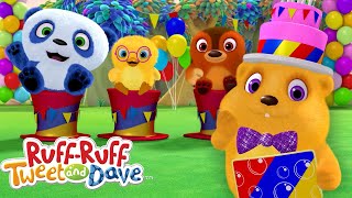 Play BIRTHDAY GAMES with Hatty Full Episode  RuffRuff Tweet and Dave  Universal Kids [upl. by Halac670]