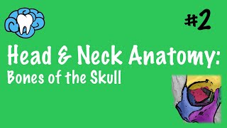 Head amp Neck Anatomy  Bones of the Skull  INBDE [upl. by Tizes]