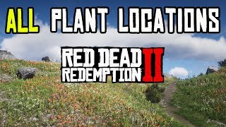 Red Dead Redemption 2  ALL 43 PLANTS amp HERBS LOCATIONS [upl. by Crispas]