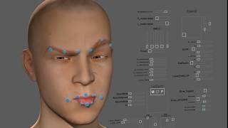 DAZ to MAYA Facial Rig interface test [upl. by Amsirhc]