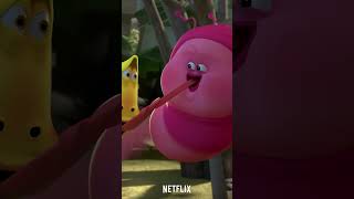 LARVA FAMILY  New Face Baby caterpillar MAGENTA Netflix Shorts [upl. by Glad]