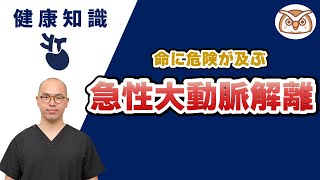 【川崎大動脈センター医師解説！】命に危険が及ぶ急性大動脈解離～突然起こる背中の痛み～ [upl. by Roswell]