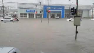 Recife Alagamento na Avenida Mascarenhas de Morais [upl. by Eisenberg]