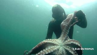 Freediving for 10 inch Abalone [upl. by Conni]