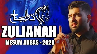 Zuljanah Noha Official Video  Mesum Abbas Nohay 2020 [upl. by Hemetaf]