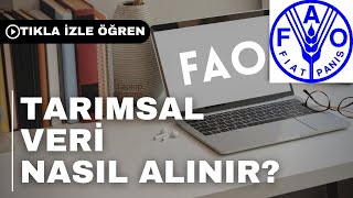 FAODAN TARIMSAL VERİ NASIL ALINIR  Fao [upl. by Ahsilak]