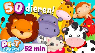 Pretlettertjes • Alle 50 Dierengeluiden • 52 min Special • Voor Baby Dreumes en Peuter • Nederlands [upl. by Donn]