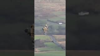 The last tornado through the Mach Loop aviation airforce military jet machloop [upl. by Dnomrej]