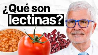 Lectinas ¿Son malas para tu cuerpo  Dr Steven Gundry [upl. by Aneles]