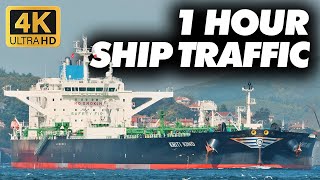 Ship Spotting amp Relax Music  1 Hour Bosphorus Marine Traffic [upl. by Couhp]