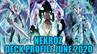 NEKROZ DECK PROFILE JUNE 2020 YUGIOH [upl. by Anaer]