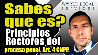 Estos son los PRINCIPIOS RECTORES DEL PROCESO PENAL Artículos 20 constitucional y Art 4 CNPP [upl. by Ayalahs]