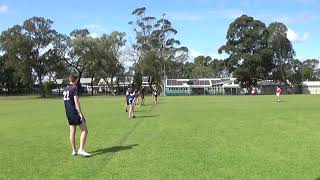 2024 7s Senior St Patricks vs Kogarah for 3 place [upl. by Cynthea]