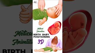 Birth  Baby Positioning medical animation 3d short BiologywithAliya [upl. by Nitz209]