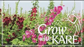 Grow with KARE All about annuals biennials and perennials [upl. by Kuth]