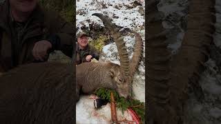 The Hunt for Alpine Ibex in Slovenia 2023 [upl. by Dorca]